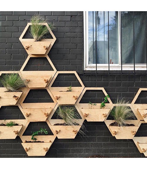 باغچه دیواری