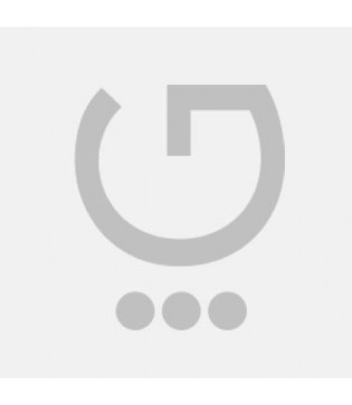 حوض ماهی ، انار و پرنده رنگی رنگی